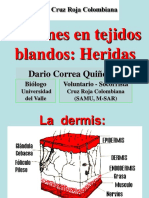 Heridas Dario