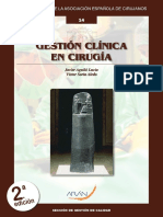 Guia Gestion Clinica en Cirugia