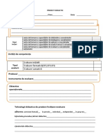 Proiect Didactic Model 1