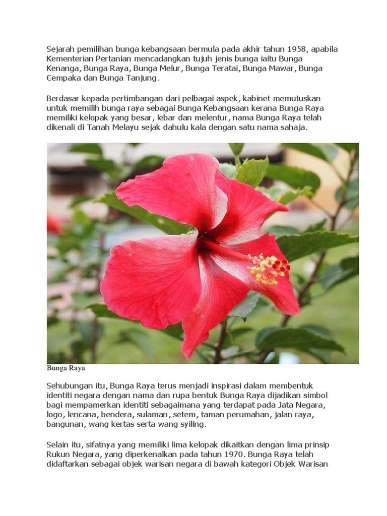 Sejarah Bunga Raya sebagai Simbol Kebangsaan | PDF