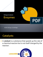 Enzymes Video