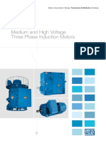 WEG Medium and High Voltage 3 Phase Induction Motors Br632 Brochure English