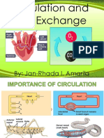 Adv Bio Report