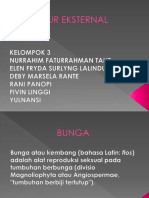 STRUKTUR EKSTERNAL BUNGA