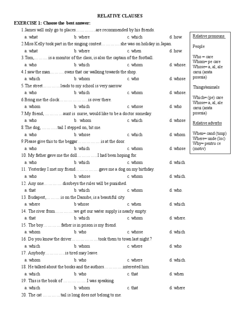 Relative Clauses Practice Exercises | PDF