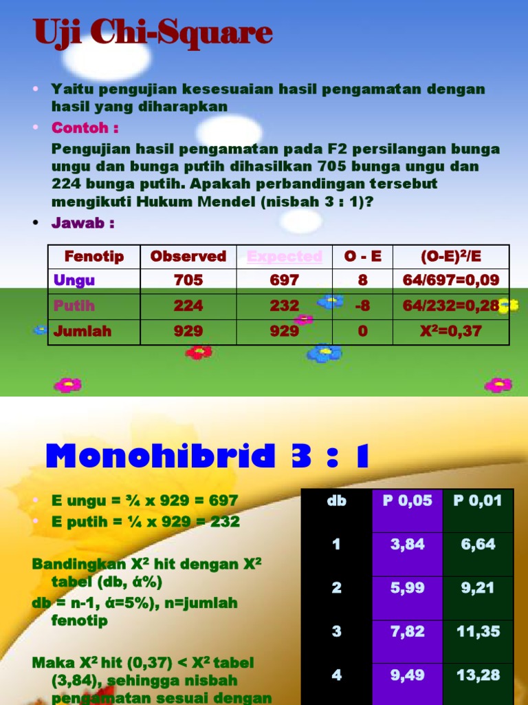 Uji Chi Square Referensi Pdf