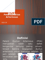 SGD-18 Patent Ductus Arteriosus