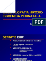 7.EHIP.pdf