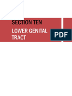 s10 Lower Genital Tract