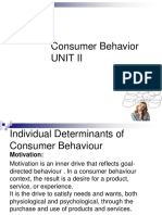 Individual Determinants of Consumer Behaviour