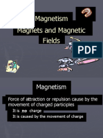 Magnetism Magnets and Magnetic Fields