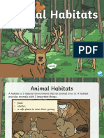 T T 4796 Animal Habitats Powerpoint - Ver - 1