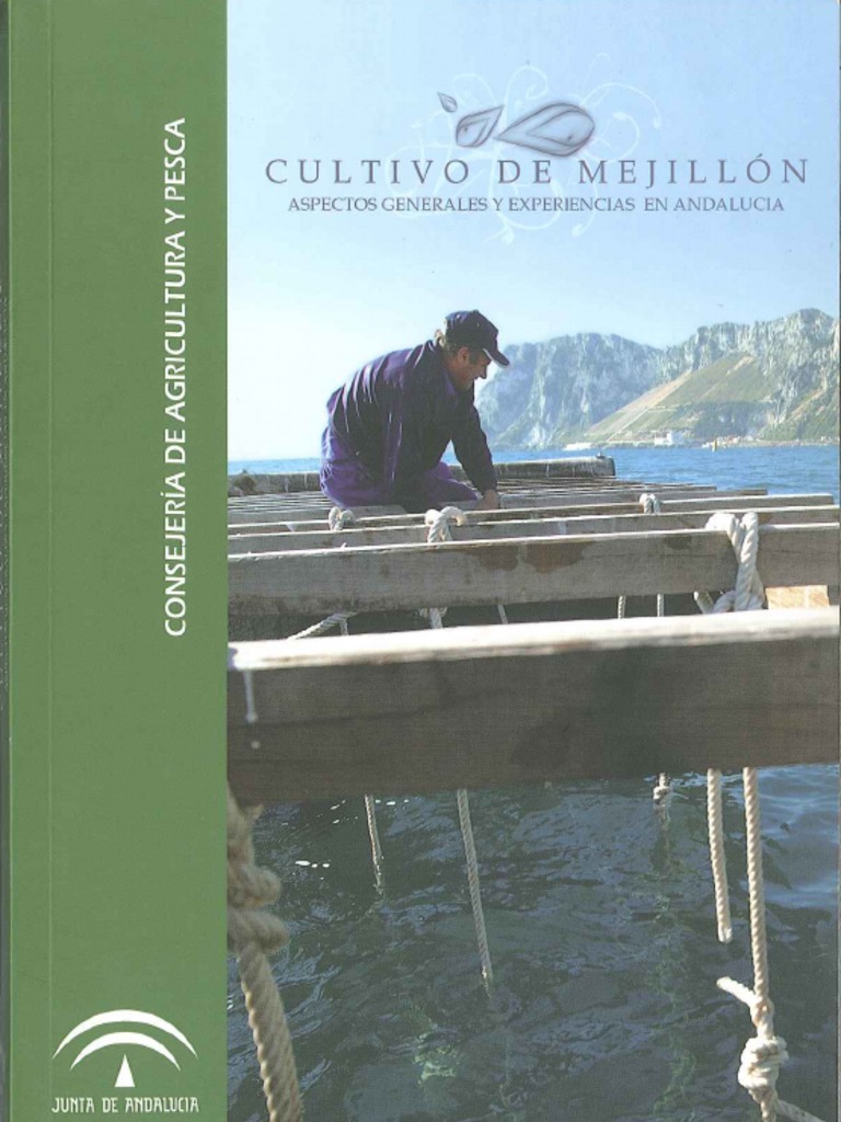 Cultivo Mejillón PDF Acuicultura Carne