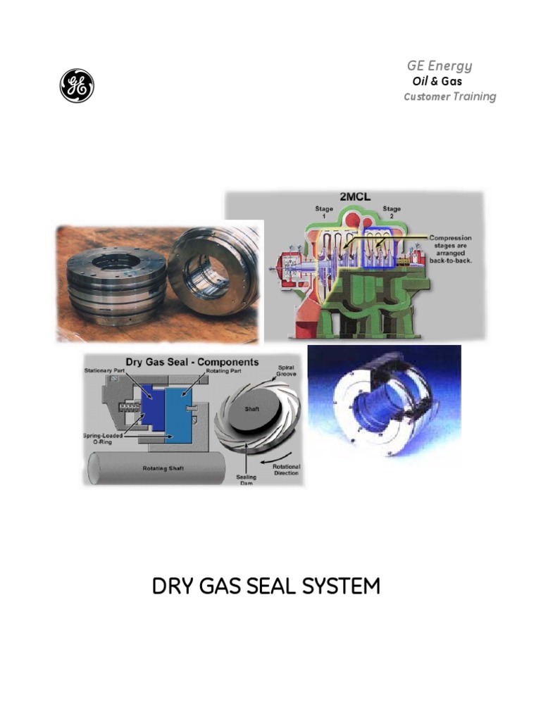 Dry Gas Seal System Overview | PDF | Valve | Bearing (Mechanical)