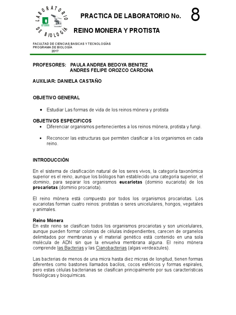 Estudio de los Reinos Monera y Protista | PDF | Algas | Eucariotas