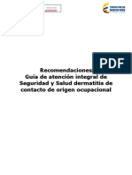 Guia Dermatitis Contacto Ocupacional