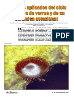 El Colmenar-N88-OCTUBRE-DICIEMBRE 2007-Ciclo Biol+ Gico de Varroa-9p