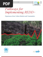 Download Pathways to Implementing REDD by ieta2 SN43009827 doc pdf