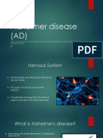 Alzheimer Disease (AD)
