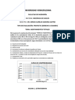 Proyecto Consolidacion Sin Asentamiento Total