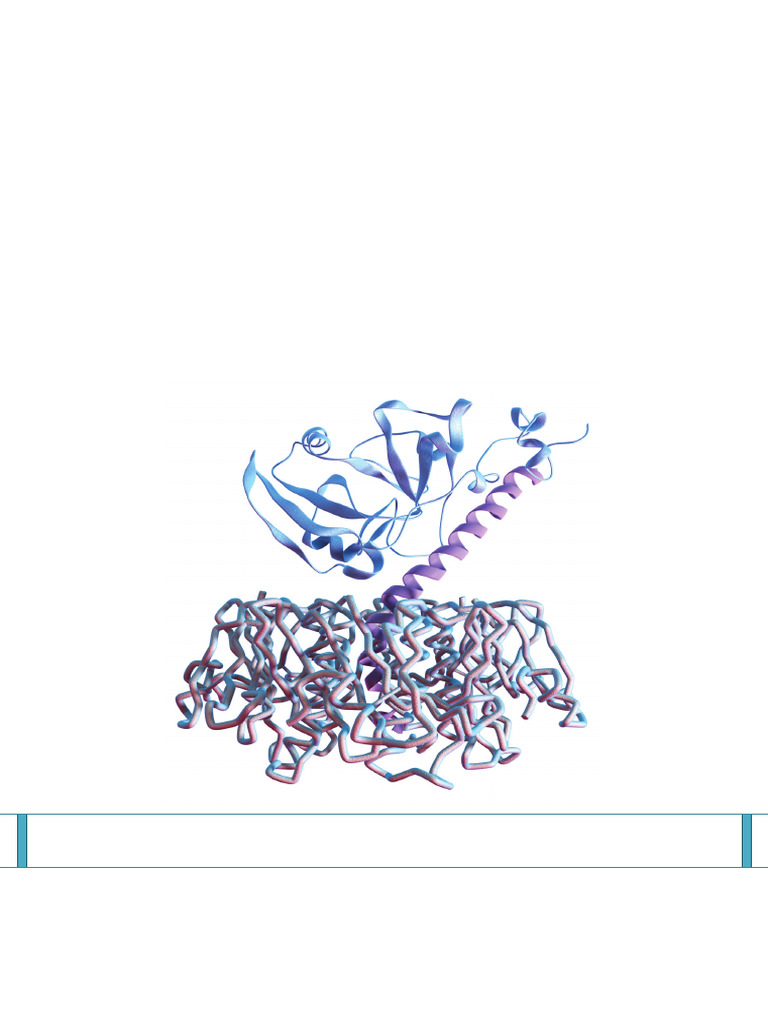 Importance of biomolecules in life essay image