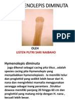 Hymenolepis Di