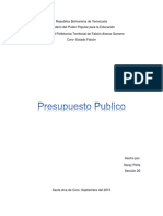 Presupuesto Publico Ensayo SARAY