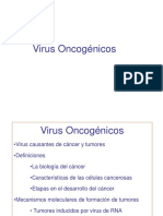 Virus Oncogenicos