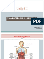 9 Sist Digestivo