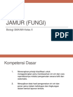 BAB 6 Jamur (Fungi)