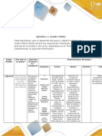 Paso 2 - Apéndice 1 - Cuadro Matriz