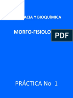 TEORIA No 1 Organizacion Del Cuerpo Humana. Planos Anatomicos