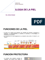 Fisiologia de La Piel y Lesiones Elementalesi