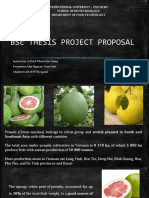 BSC Thesis Project Proposal - Starch