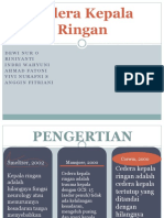 Cedera Kepala Ringan