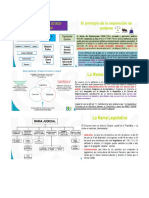 Organizacion Publica de Colombia