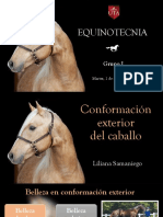 Equinotecnia