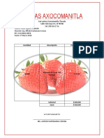 Cotizacion Fresas Axocomanitla Heber