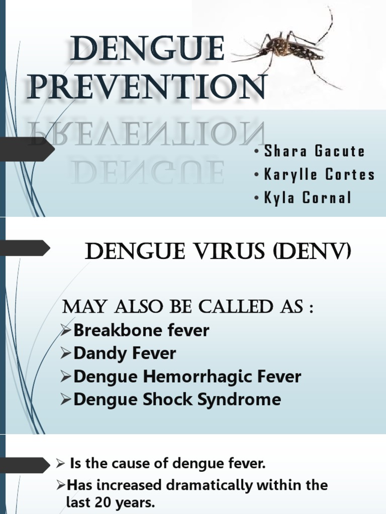 Dengue Virus Prevention and Control Guide | PDF
