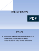 estres embarazo