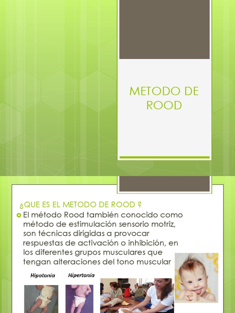 Metodo de Rooooood | PDF | Músculo | Neurona