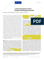 Review: Impact of Nutrition On Brain Development and Its Neuroprotective Implications Following Preterm Birth