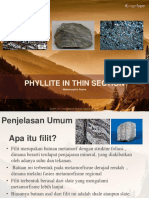 PPT Phylite