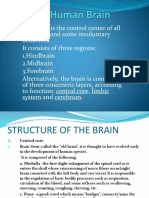 The 3 Regions and 3 Layers of the Brain