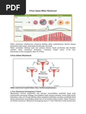 4 Fase Dalam Siklus Menstruasidocx