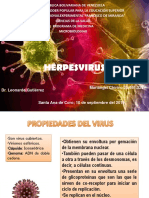1568114249953_herpesvirus Seminario Mariangel