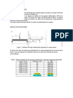 ENSAYOS PRELIMINARES viga a flexion