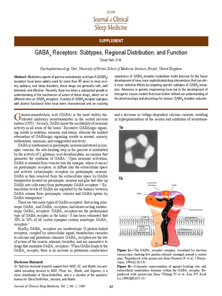 Gaba Receptors: Subtypes, Regional Distribution, and Function | PDF ...