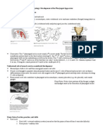 Embryology Dev of Pharyngeal Apparatus