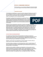 QUÉ ES EL CHAMANISMO ESENCIAL.pdf